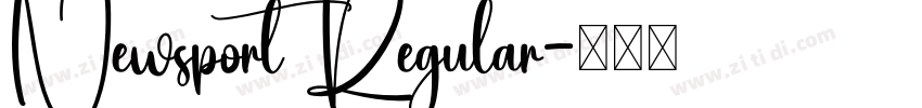 Newsport Regular字体转换
